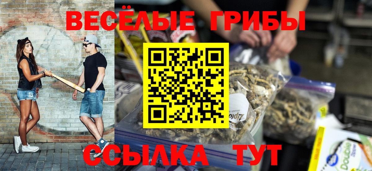 Горно-Алтайск  купить наркоту  Вход с VPN  Псилоцибиновые грибы мицелий 