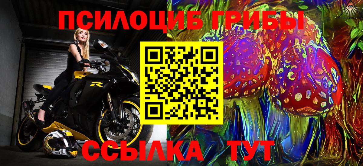 Псилоцибиновые грибы Cubensis Горно-Алтайск