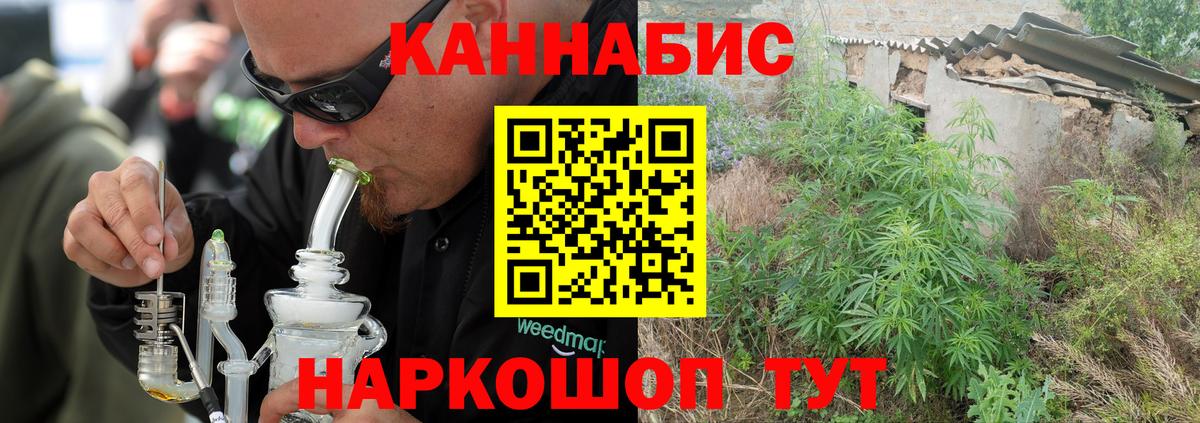 Марихуана сатива  Вход с VPN  Конопля Bruce Banner  Канабис гибрид  Горно-Алтайск  Конопля индика 